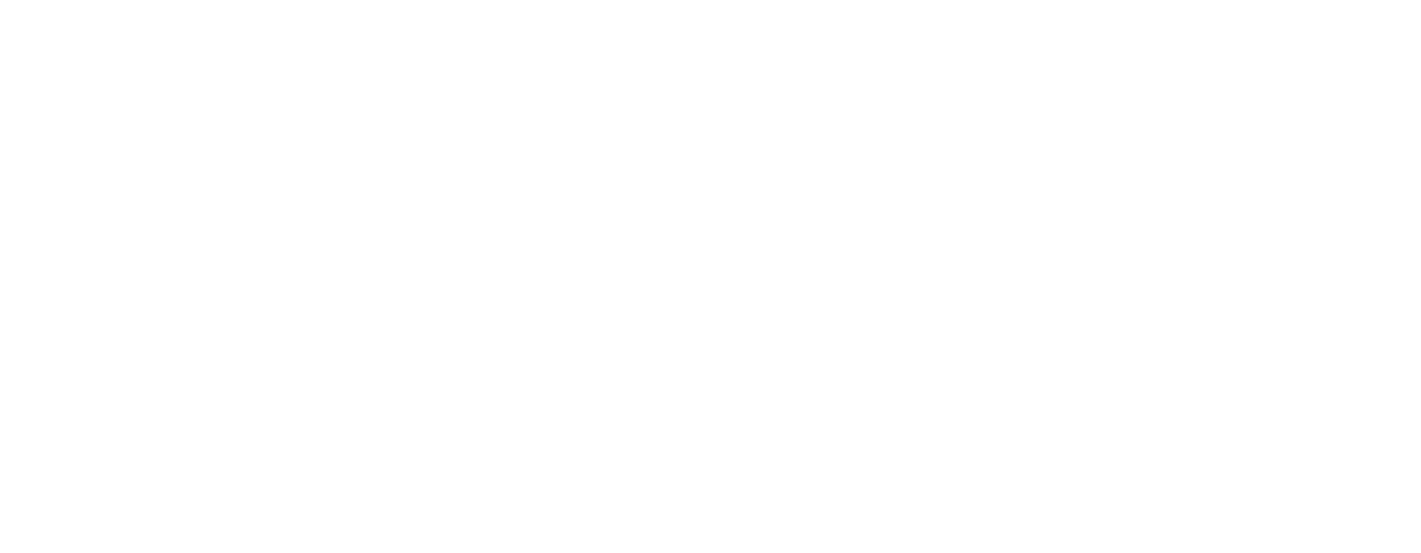 ECU WIZARD