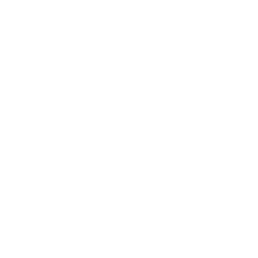 ECU WIZARD